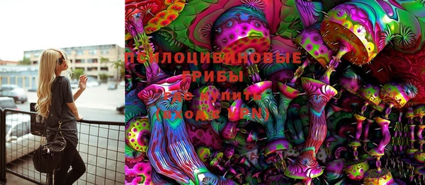 прущие крисы Заводоуковск