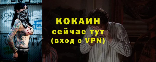 крисы Ельня