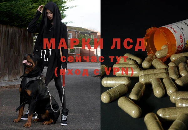 крисы Елабуга